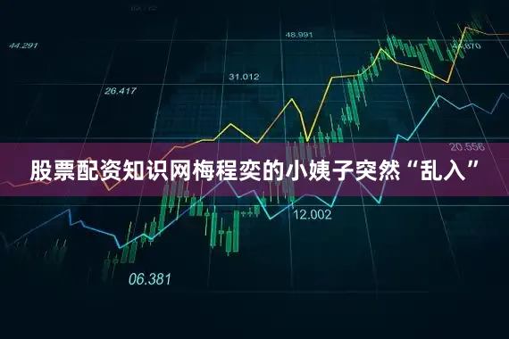 股票配资知识网梅程奕的小姨子突然“乱入”