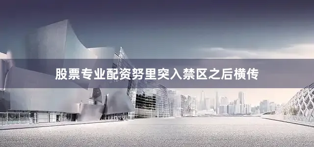 股票专业配资努里突入禁区之后横传