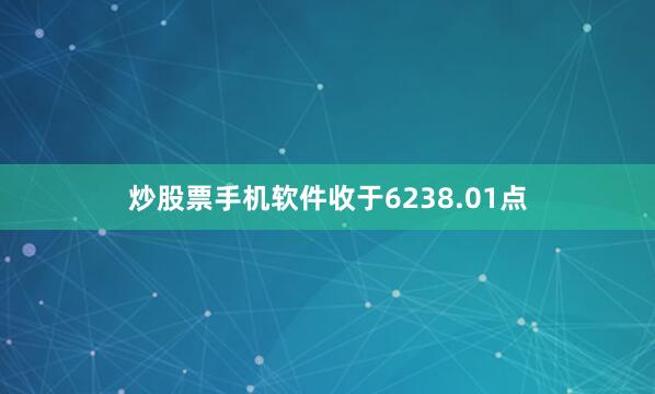 炒股票手机软件收于6238.01点