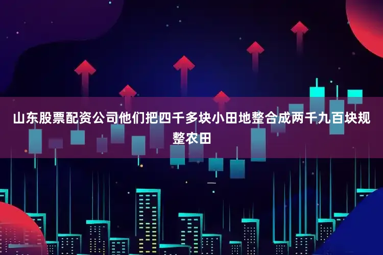 山东股票配资公司他们把四千多块小田地整合成两千九百块规整农田